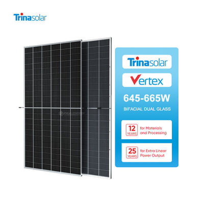 700W Tsm-Neg21C.20 Bificial διπλό γυαλί Pv μονάδα Ηλιακά πάνελ για ηλιακό σύστημα