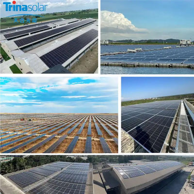 700W Tsm-Neg21C.20 Bificial διπλό γυαλί Pv μονάδα Ηλιακά πάνελ για ηλιακό σύστημα
